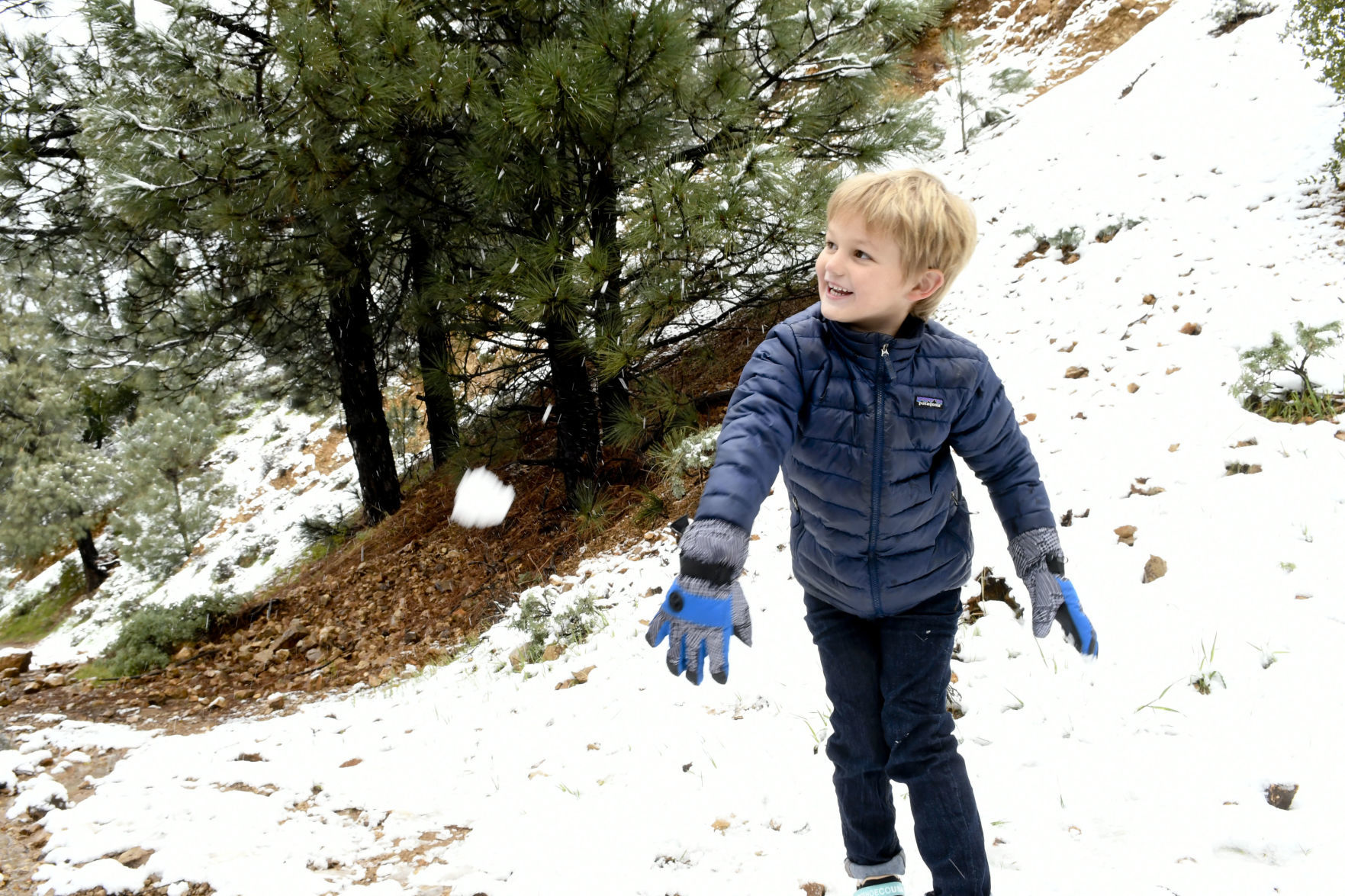 031720 Snow Figueroa Mountain 05.jpg